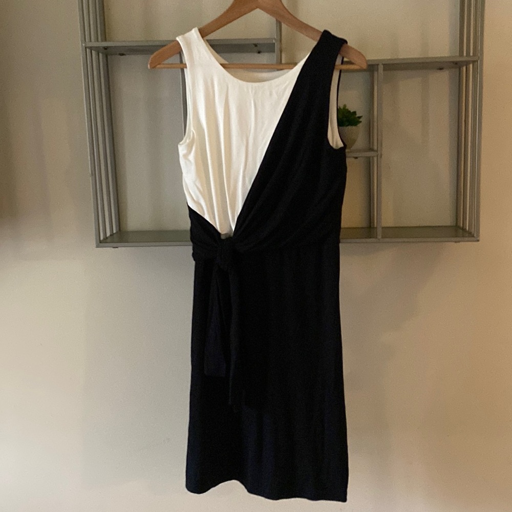 Ann Taylor dress